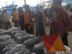 Keramaian Lelang Ikan di TPI Juwana, Jawa Tengah