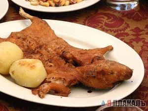 Diyakini Bikin Awet Muda, Wanita Vietnam Konsumsi Daging Tikus!