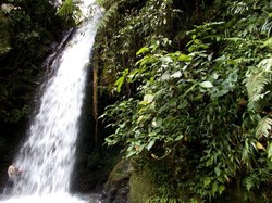 Air Terjun di Gunung Halimun yang Konon Bikin Awet Muda