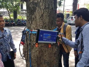 Sebuah Pohon Sehat Atau Sakit? Alat ini Bisa Mengetahuinya