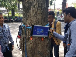 Sebuah Pohon Sehat Atau Sakit? Alat ini Bisa Mengetahuinya