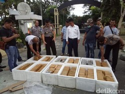 Polisi Tangkap Kurir Narkoba, 240 Kg Ganja Disita