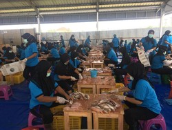 Di Jateng, Eximbank Salurkan Kredit Eksportir Rp 8,4 Triliun