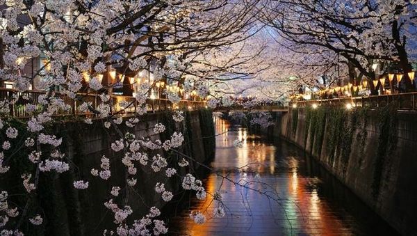 Deretan Foto Keren Tanpa Sentuhan Photoshop