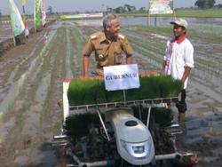 Jurus Pemprov Jateng agar Anak Muda Melirik Sektor Pertanian