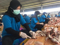 LPEI Sudah Salurkan Pembiayaan Rp 105,03 Triliun