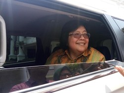 Jokowi akan Tinjau Perhutanan Sosial di Muara Gembong