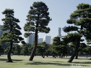 Masuk Bulan Juni, Jepang Kembali Buka Tempat Wisata