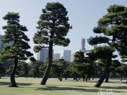Masuk Bulan Juni, Jepang Kembali Buka Tempat Wisata