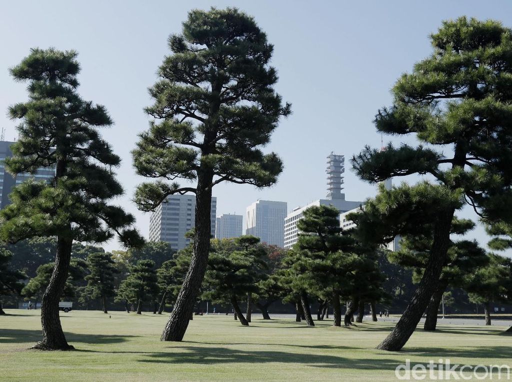 Masuk Bulan Juni, Jepang Kembali Buka Tempat Wisata Masuk Bulan Juni, Jepang Kembali Buka Tempat Wisata