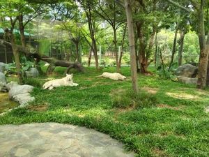 Yang Lain dari Ancol: Kebun Binatang Mini