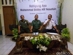Jelang Nikahan Kahiyang, 10 Bus Disiapkan Jemput Relawan Jokowi