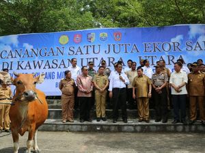 4 Kabupaten di Sulawesi Jadi Penyangga Sapi Nasional