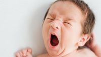 Hoam! Berbagai Ekspresi Lucu Bayi Saat Menguap
