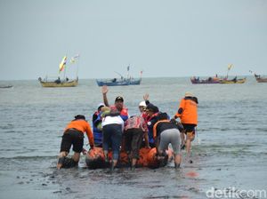 Saat Bupati Rembang Nyebur ke Lumpur Pantai Wates yang Bau Tahun Lalu