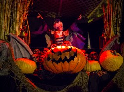 Kamu Tahu Asal Usul Halloween?