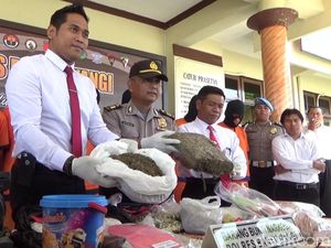 1 Bulan, 21 Pelaku Penyalahgunaan Narkoba Ditangkap