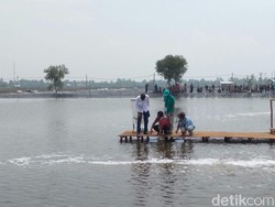 Saat Jokowi Bertemu Lagi Petani Teluk Jambe yang Ancam Kubur Diri