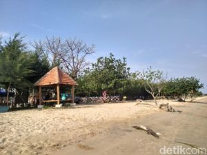 Pantai Pasir Putih Cantik yang Kini Air Lautnya Hitam dan Bau Busuk