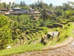 Sepi Turis, Pemkab Gianyar Benahi Lalu Lintas di Ubud
