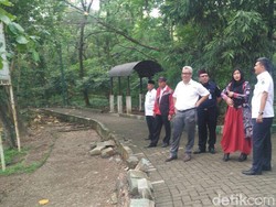 Pemkot Jakbar Usul ke Anies Perbaikan Hutan Kota untuk Wisata