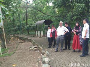 Pemkot Jakbar Usul ke Anies Perbaikan Hutan Kota untuk Wisata Pemkot Jakbar Usul ke Anies Perbaikan Hutan Kota untuk Wisata