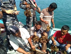 Laris di Pasar Gelap, Belangkas Jadi Makanan Favorit Orang Thailand