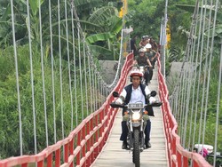 Naik Trail Tinjau Tambak Udang, Jokowi: Masak Mau Jalan?