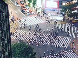 Ketimbang Motor, Orang Jepang Lebih Pilih Sepeda