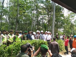 233 Dusun di Jabar Dapat Listrik, Masih Ada 658 Dusun Lagi