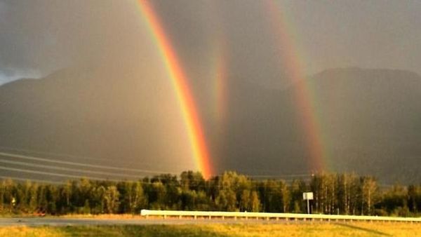 Deretan Foto Kebetulan yang Sulit Dipercaya