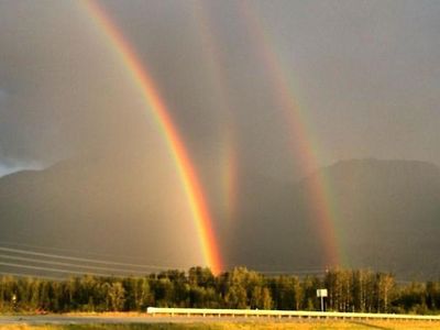 Deretan Foto Kebetulan yang Sulit Dipercaya