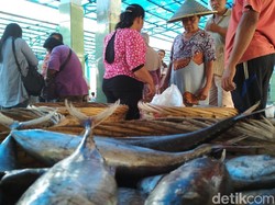 Cuaca Normal, Nelayan Trenggalek yang Menganggur Kembali Melaut