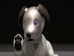 Keren, Ada Robot Anjing Peliharaan