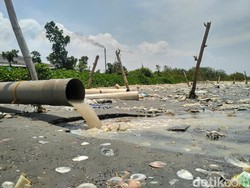 Begini Ngerinya Limbah yang Sebabkan Pantai Wates Rembang Jadi Hitam