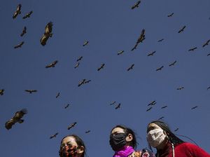 Pemakaman Langit: Jenazah Dimakan Burung Bangkai