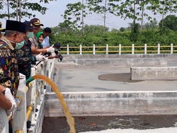 66,6 Ton Miras Dimusnahkan di Bojonegoro