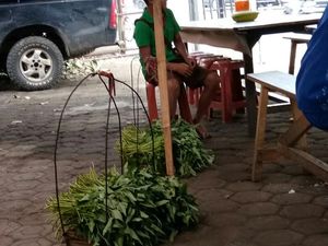 Viral Video Bocah Garut Berjualan Kangkung Demi Ibu dan Adik Viral Video Bocah Garut Berjualan Kangkung Demi Ibu dan Adik