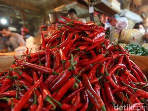 Stok Cabai Merah dan Rawit RI Kritis, Ini Biang Keroknya