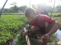 Ini Rumah Bilik Asep Penjual Kangkung dan 10 Keluarganya di Garut