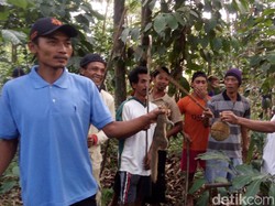 Tradisi Unik, Berburu 2 Ekor Tupai untuk Syarat Merti Dusun