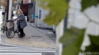 Bikin Jepang Pusing, Apa Sih Efeknya Negara Alami Resesi Seks?