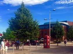 Ini Tempat Kelahiran Sang Pujangga, William Shakespeare