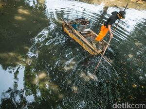 Pembersihan Saluran Irigasi di Sunter Utara