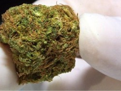 Ganja dilegalkan, 13 Perusahaan Denmark Antre Ajukan Izin Menanam