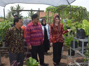 Arumi Bachsin Kagumi Semangat Petani Trenggalek