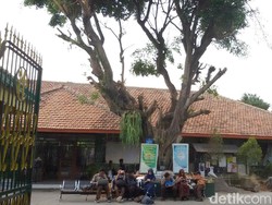 Cerita Siswa Soal Penyebab Kesurupan Massal di SMPN 15 Yogyakarta