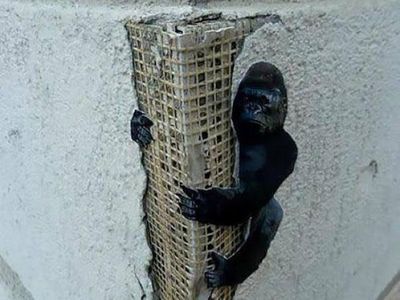 Lukisan Jalanan Super Kreatif Bikin Senyum-senyum Sendiri