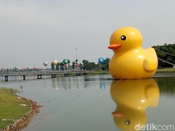 Bebek Raksasa Tiba-tiba Muncul di Danau Taman Kota Meikarta