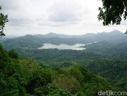 Bisa Kok Menginap di Kalibiru, Asal..